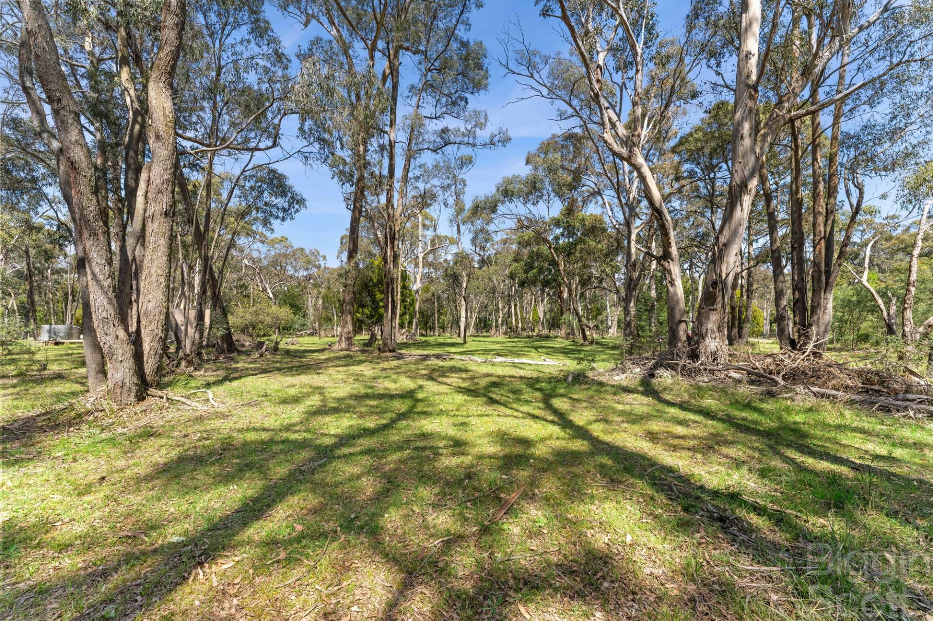 65 Springhill Road, Denver VIC 3461, Denver - Thumbnail 3