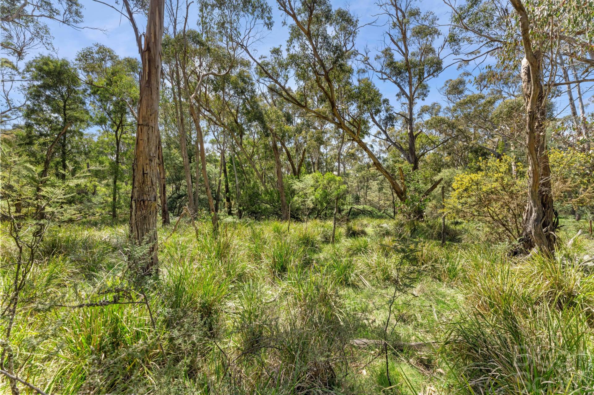 65 Springhill Road, Denver VIC 3461, Denver - Thumbnail 4