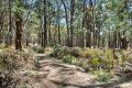 5 Acres of Beautiful Bushland with Dual Street Frontages