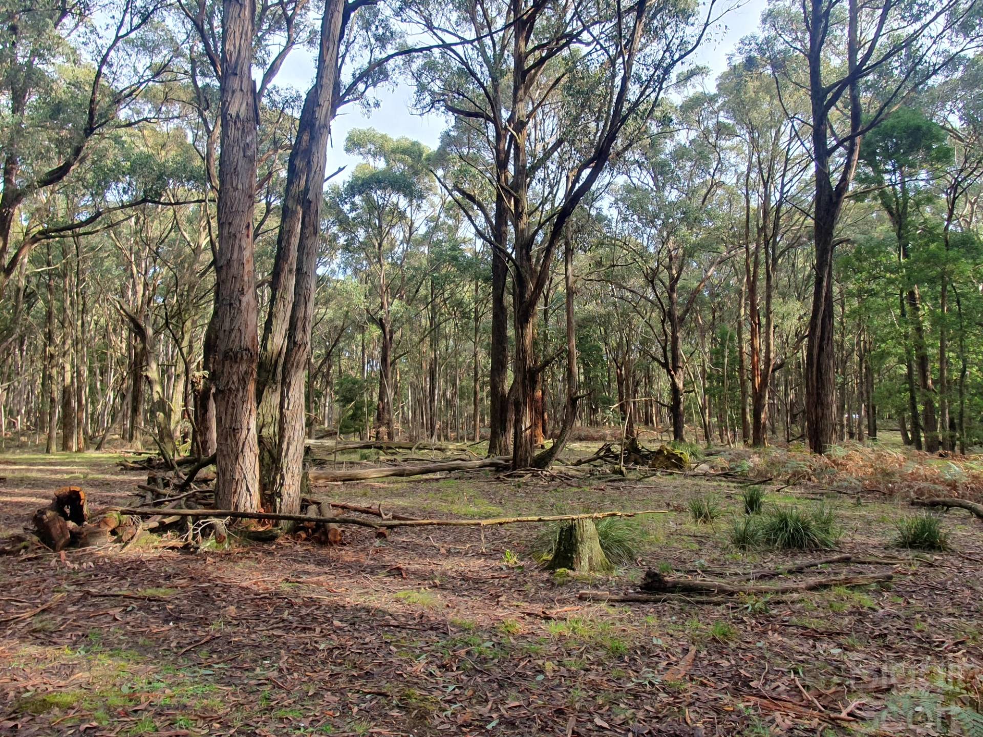 340 Long Swamp Road, Mollongghip VIC 3352, Mollongghip - Image 1