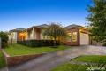 The Enchanting Entertainer in a coveted estate