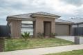 Room To Move in Established Alfredton
