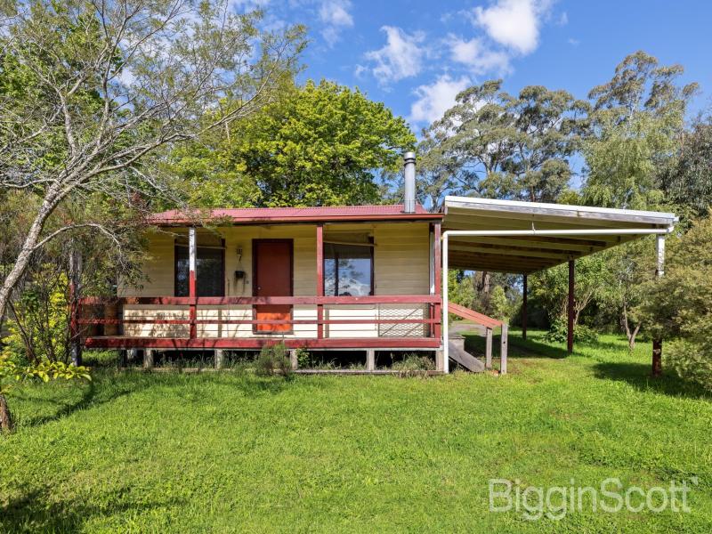 Miners Cottage with bush views