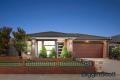 Display-Quality Family Home with Style, Space & Stunning Outdoor Living!