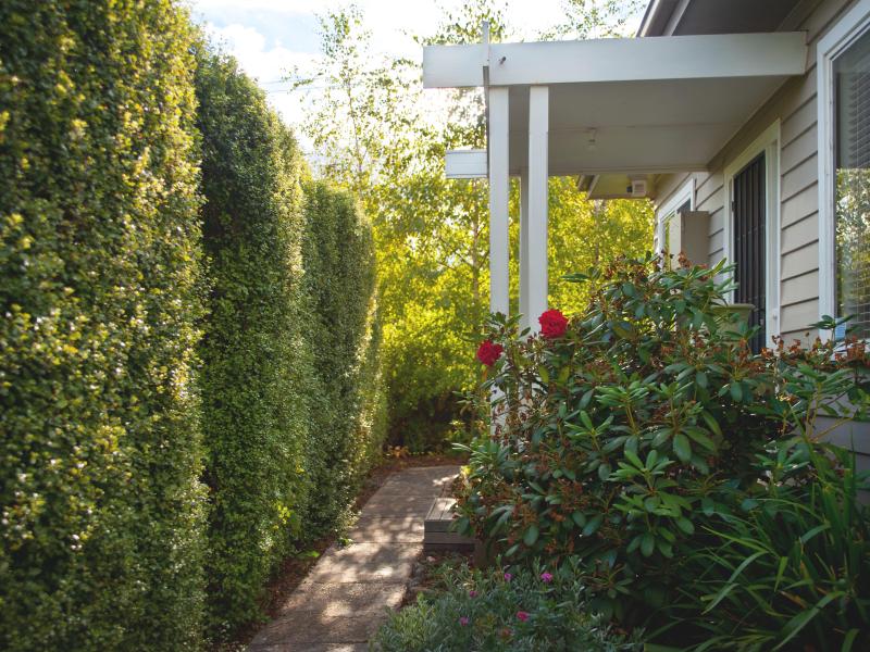 Charming 3-Bedroom Weatherboard Cottage