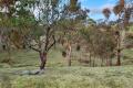 Secluded 3.46 Acre Retreat with Views, Close to Hepburn Springs & Daylesford