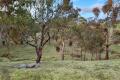 Secluded 3.46 Acre Retreat with Views, Close to Hepburn Springs & Daylesford