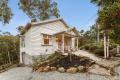 Among the Treetops: Where Vintage Charm Meets Artistic Edge