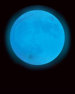 Blue Moon Rentals photo