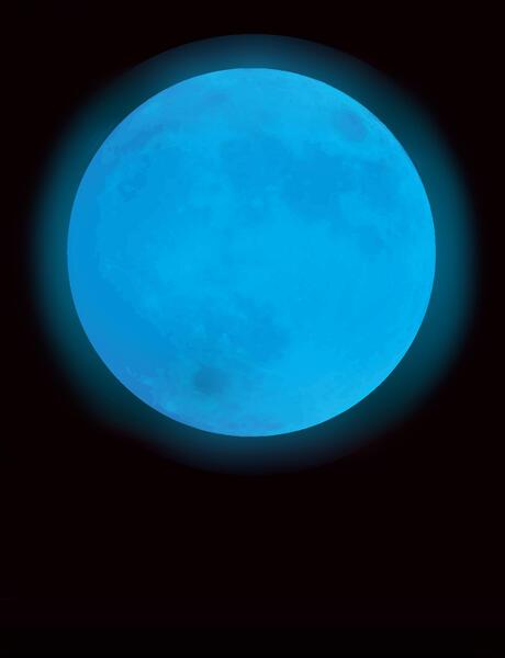 Blue Moon Rentals photo