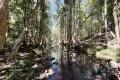 Build your Dream Lifestyle in Bridges - Rare Acreage Opportunity