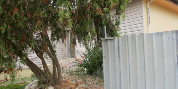 Mark testimonial image