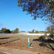 Lynne Maguire knows real estate