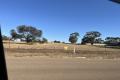 Vacant Land - GREAT LOCATION & SIZE!