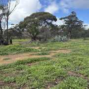 Our experience was so easy and our agent Robyn was just wonderful 