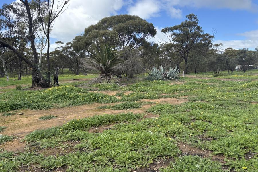 PRICED TO SELL - ALL OFFERS PRESENTED