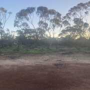 Smooth and Easy Buying Experience!