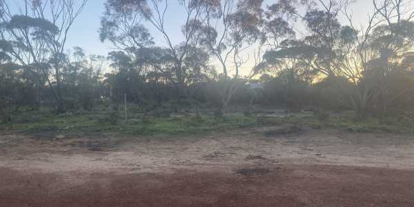 Almas RIND testimonial image