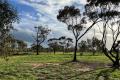 1.46 Hectares – Build Your Dream Lifestyle