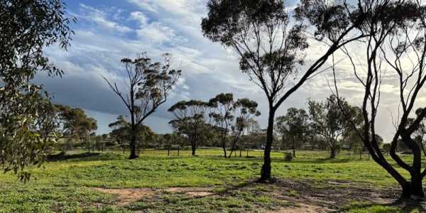 Bradley John MCGILL testimonial image