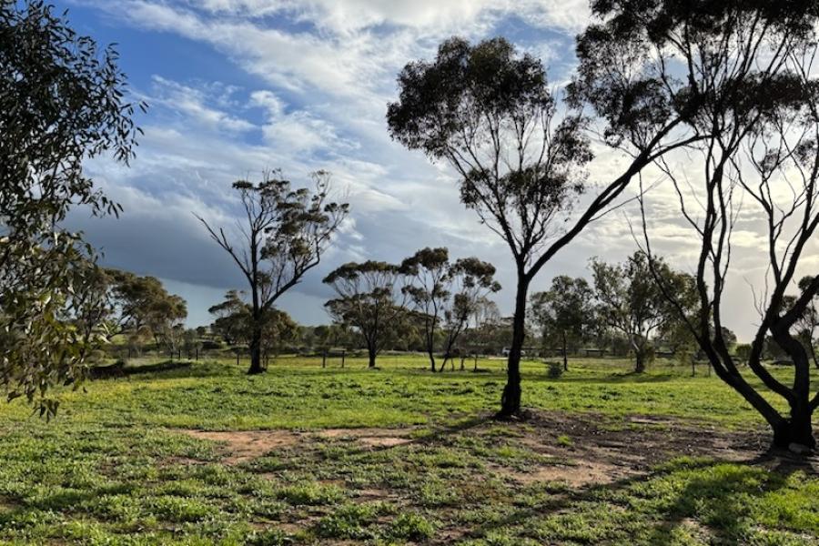 1.46 Hectares – Build Your Dream Lifestyle
