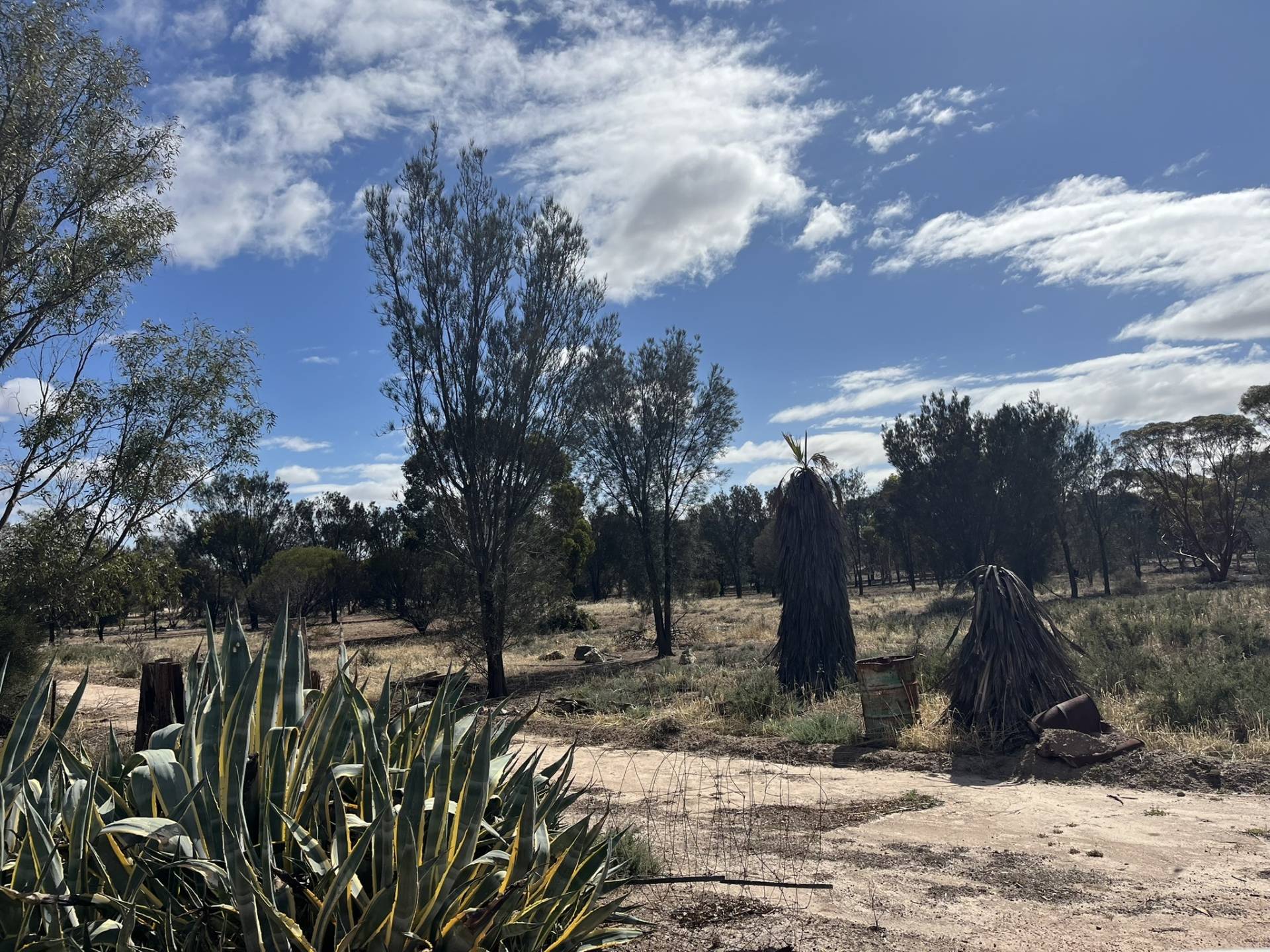Lot 37/38 Wongan Hills Cadoux Road, Cadoux - Thumbnail 5