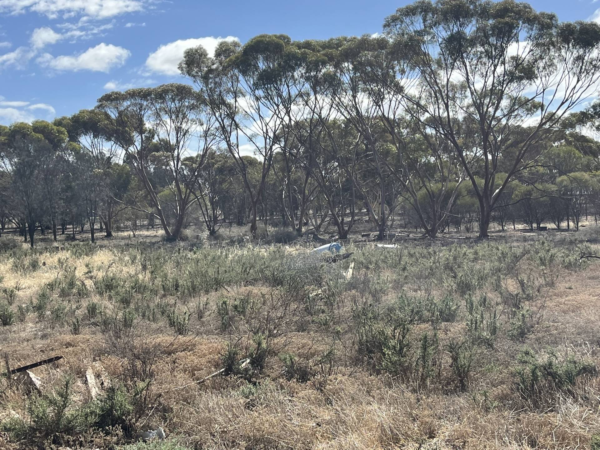 Lot 37/38 Wongan Hills Cadoux Road, Cadoux - Thumbnail 8
