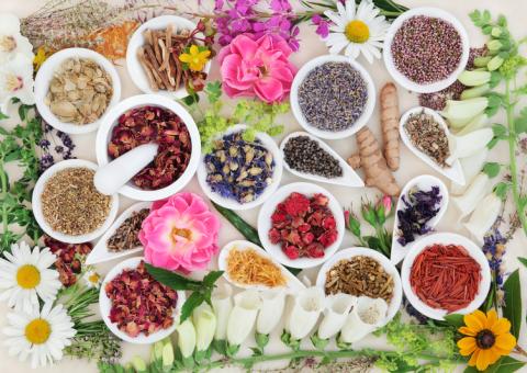 19029 Largest Natural Therapies Store In Melbourne - SOLD