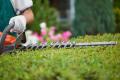 34387 Thriving Lawn & Garden Maintenance Business