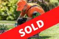 Profitable Garden and Maintenance Business - SOLD