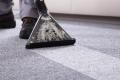 34544 Profitable Carpet Cleaning & Pest Control Business
