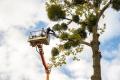 34493 Profitable & Growing Tree Services Business