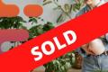 Online Indoor Plant Retailer - SOLD