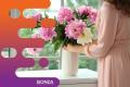 35228 Profitable Floral Arrangement Rental Business - Reputable Brand