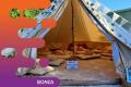 35089 Renowned Glamping Party Business - Enormous Growth Potential