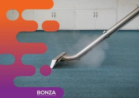 35473 Lucrative Professional Cleaning Services Business