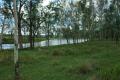 Forest grazing block - $310,000