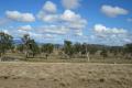61 ACRES OF QUALITY GRAZING LAND