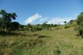 100 ACRES FOREST AND SCRUB GRAZING LAND