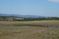 35 QUALITY ACRES IN CONVENIENT LOCATION