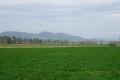 An acre in the country !
