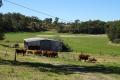 Cropping and Cattle Fattening Property – “Springlea”