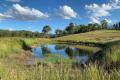 Undulating Forest Grazing Country - 195 Acres