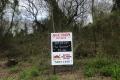 FOR SALE BY AUCTION - RARE FIND IN THE COUNTRY