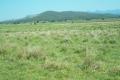 RURAL ACREAGE WITH VIEWS TO THE MOUNTAINS