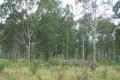 LAND 48 ACRES GRAZING MOUNT EDWARDS