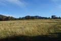 QUALITY GRAZING LAND
