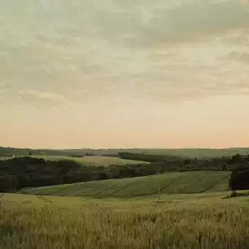 Malinda K. testimonial image