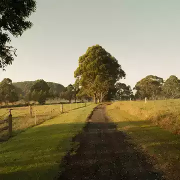 Lorraine Lancaster testimonial image