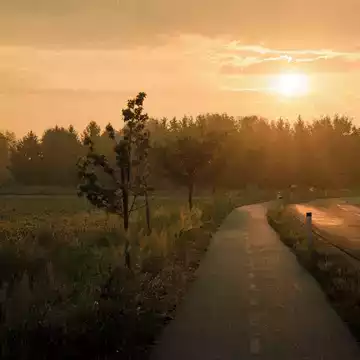 Malinda K. testimonial image